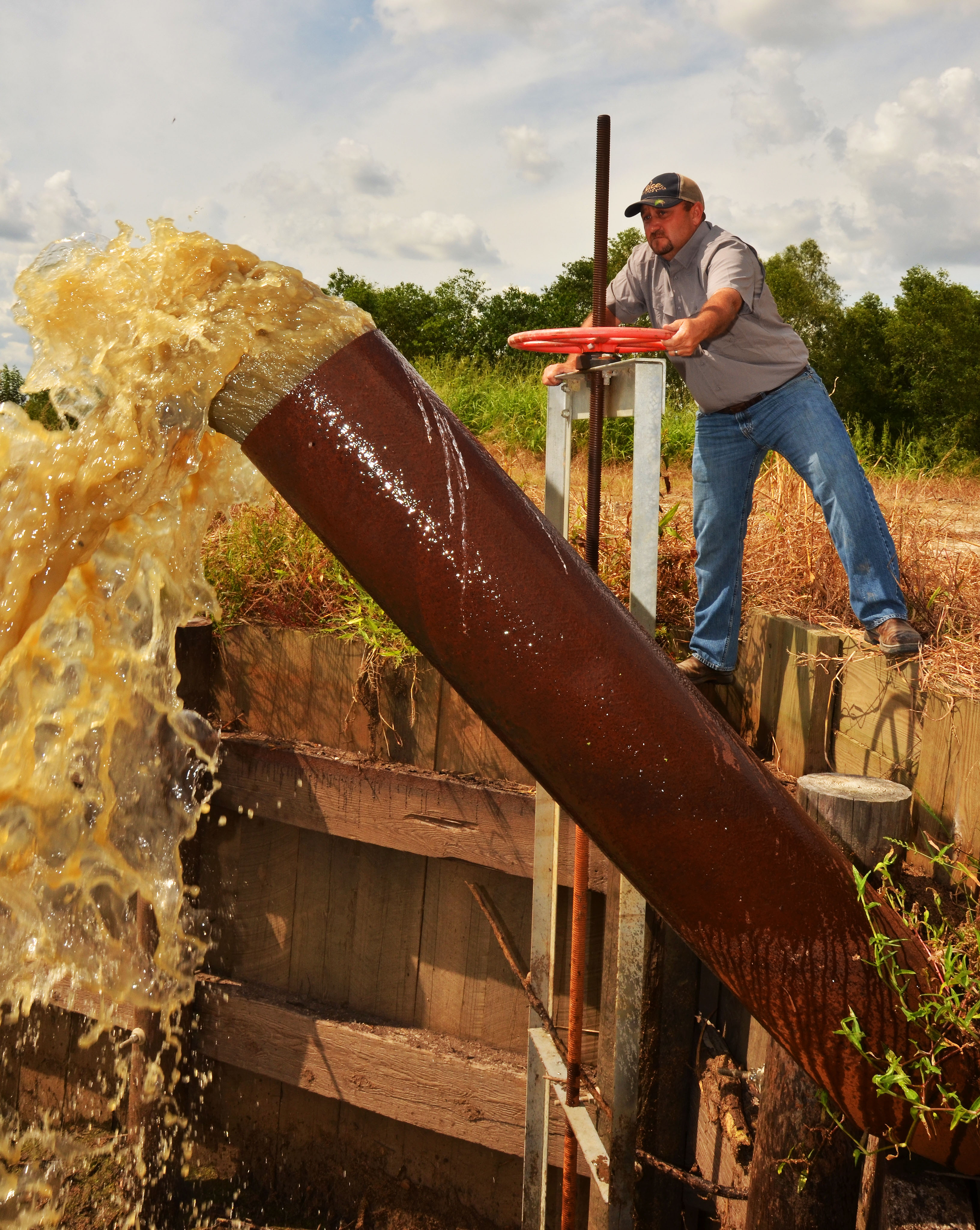 Recirculating Irrigation Water to Manage Pollution in a Rice-Soybean Rotation